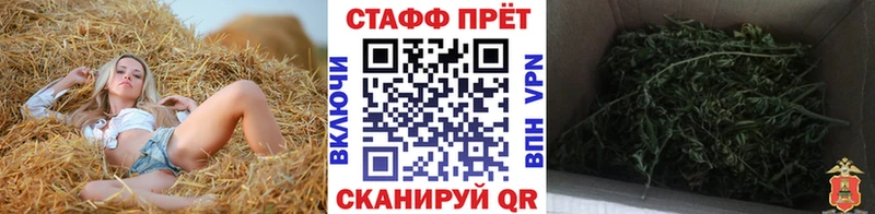 Купить закладку Гашиш  А ПВП  Кокаин  Меф мяу мяу  Бошки Шишки  Дрезна