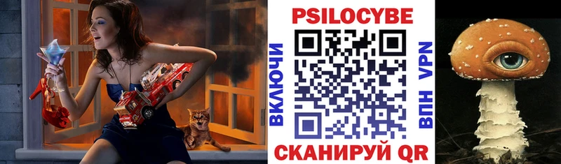 Галлюциногенные грибы GOLDEN TEACHER  Купить где  Дрезна 